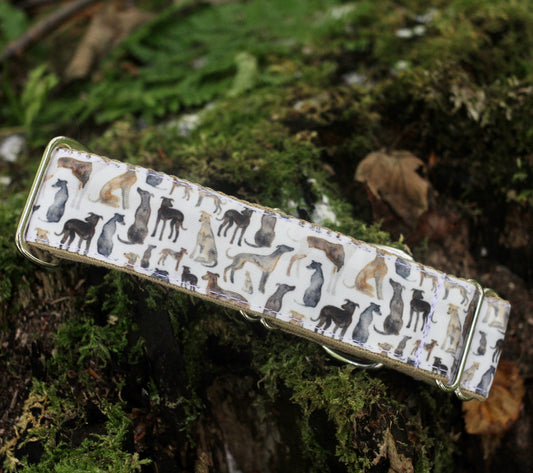 Watercolour Hounds Bio-Canvas Collar