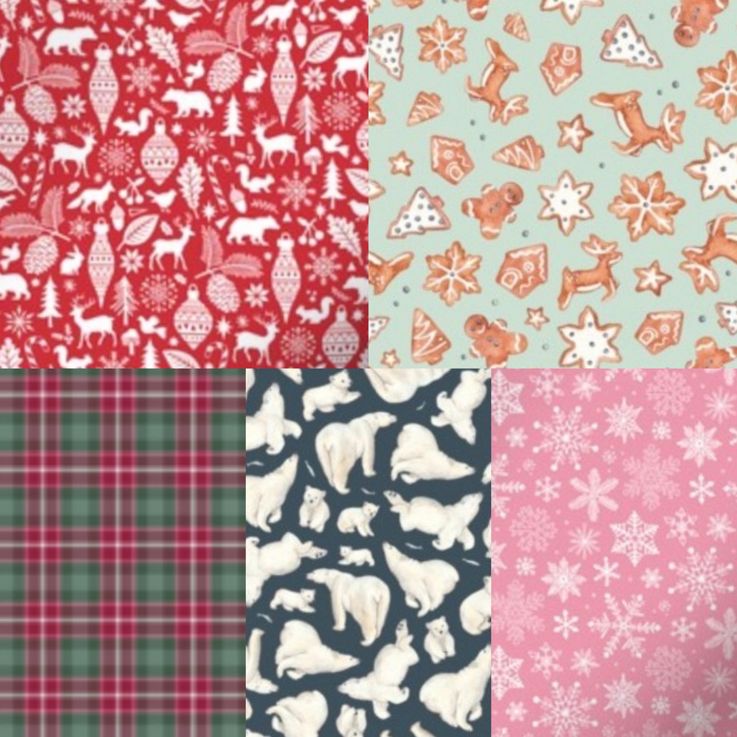 Winter Bio-Canvas x BioThane Lead