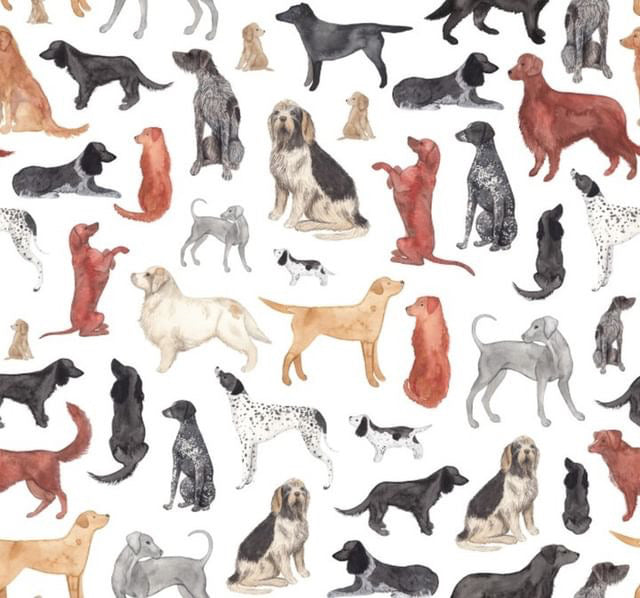 Watercolour Gundogs Custom Bio-Canvas Collar