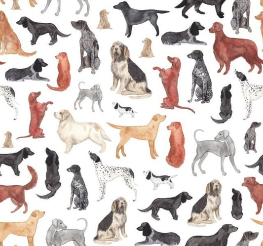 Watercolour Gundogs Custom Bio-Canvas Collar