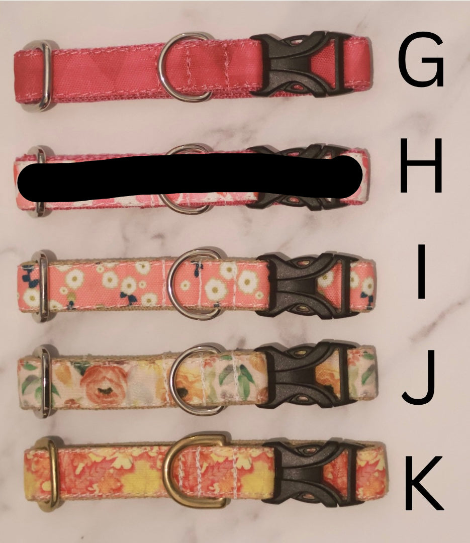 Bargain Collars Small Buckles