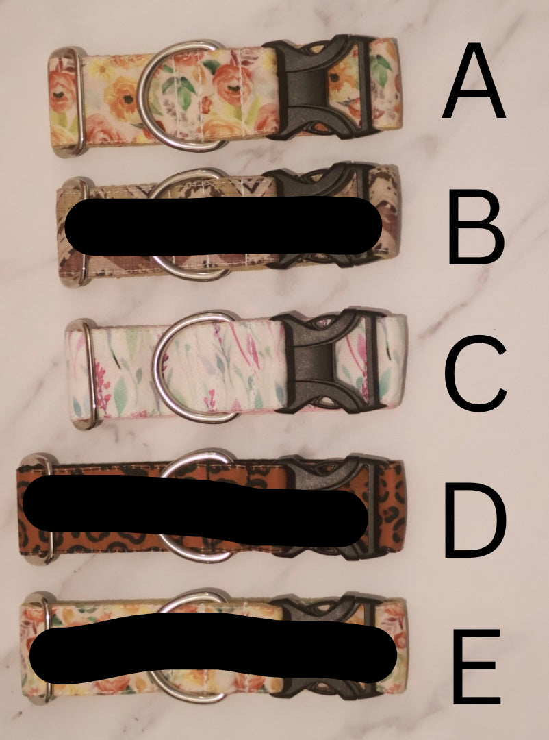 Bargain Collars Midi Buckles