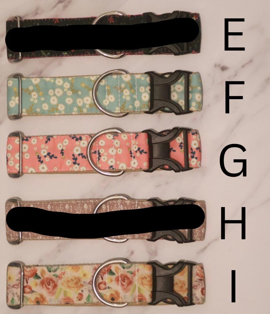 Bargain Collars Large Buckles