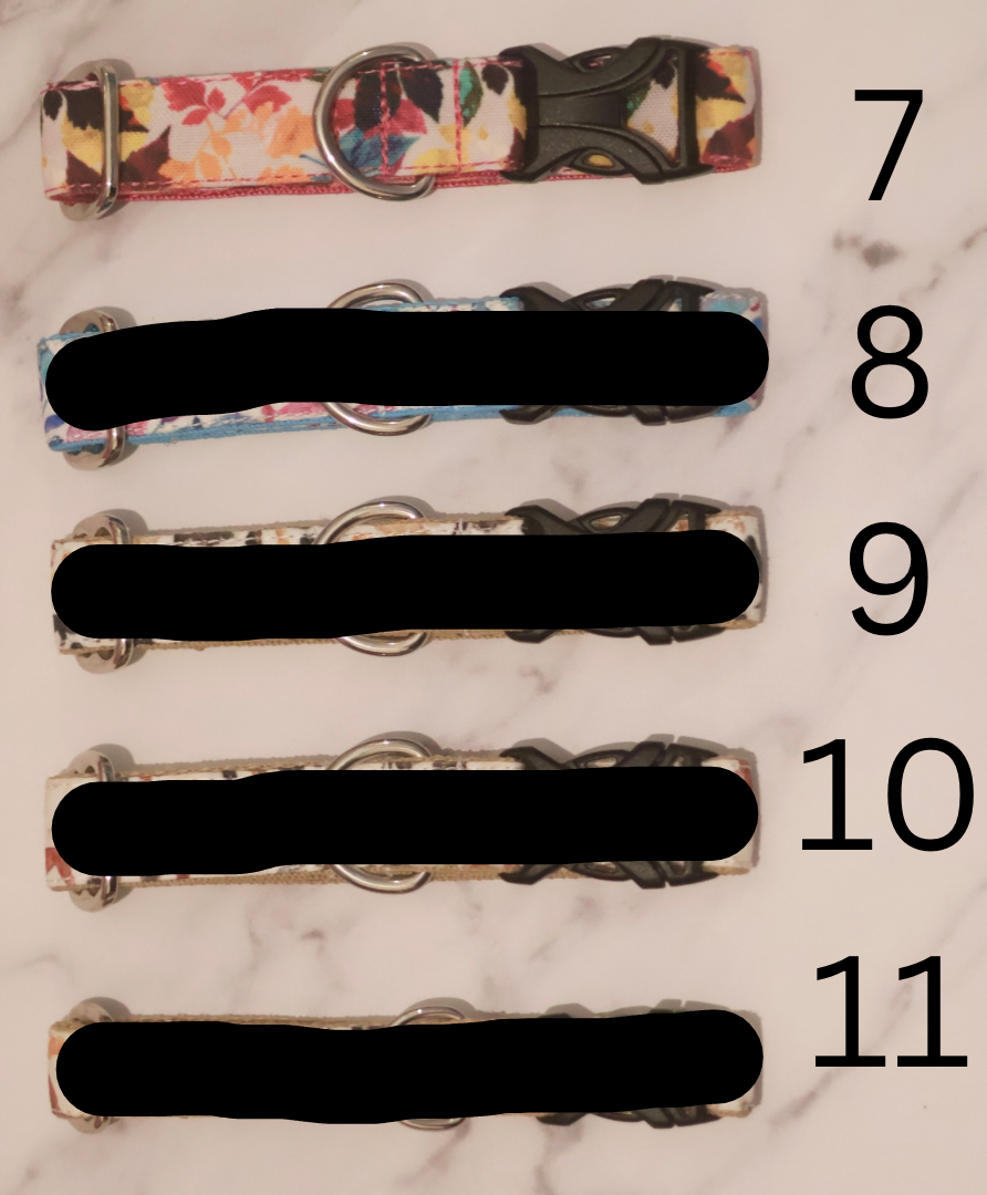 Bargain Collars Medium Buckles