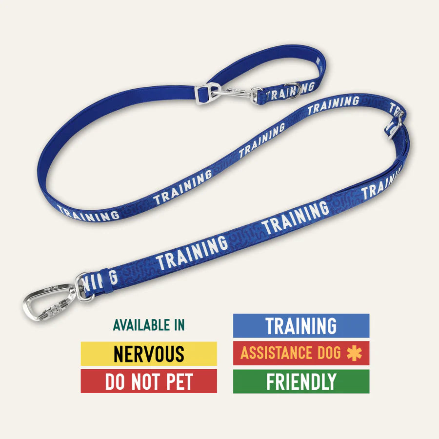 Twiggy Tags Multi-Way Lead