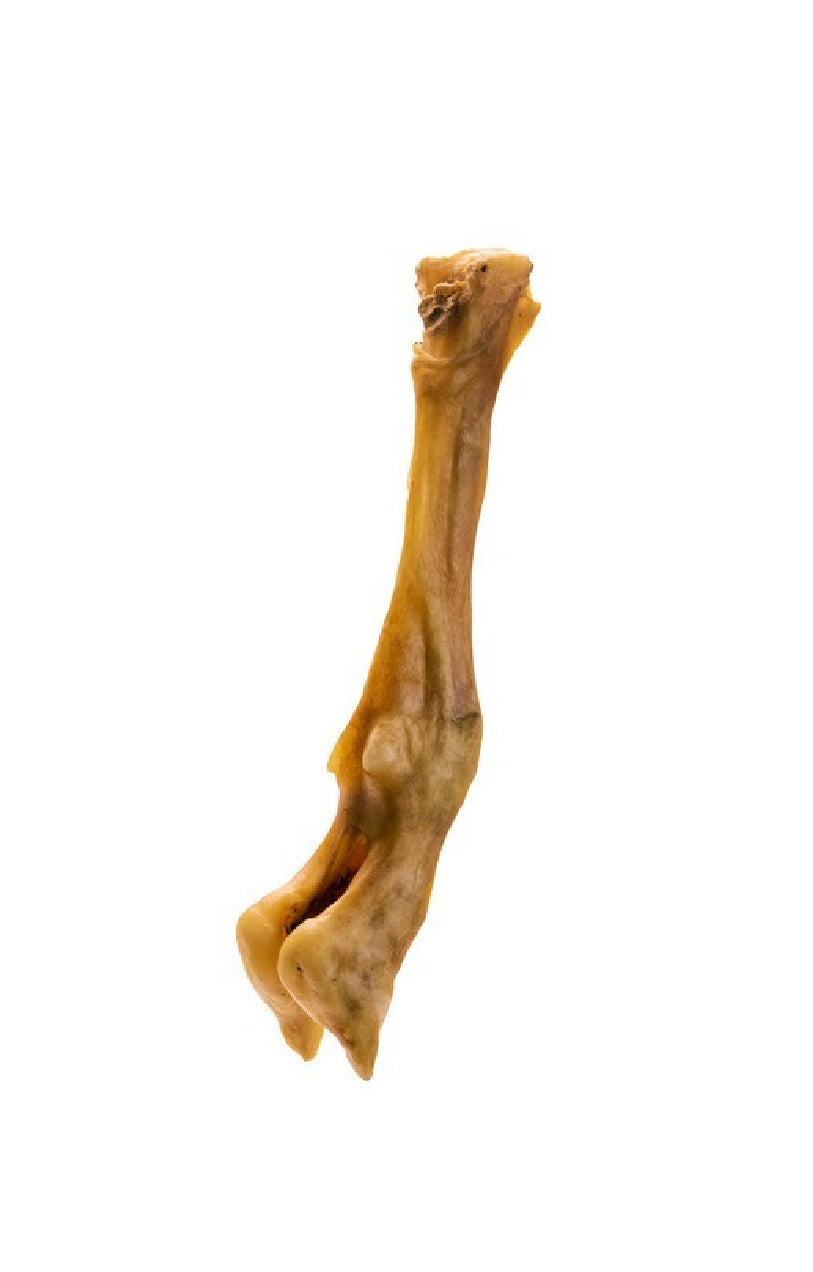 Air Dried Lamb Foot