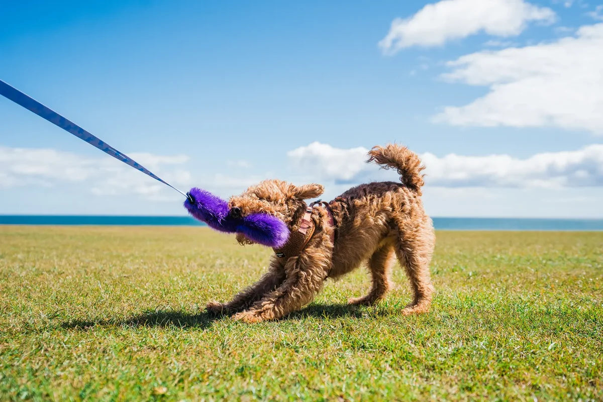 Tug-e-nuff Faux Fur Squeaky Bungee Chaser
