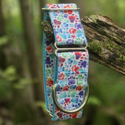 Rainbow Paws Custom Bio-Canvas Collar