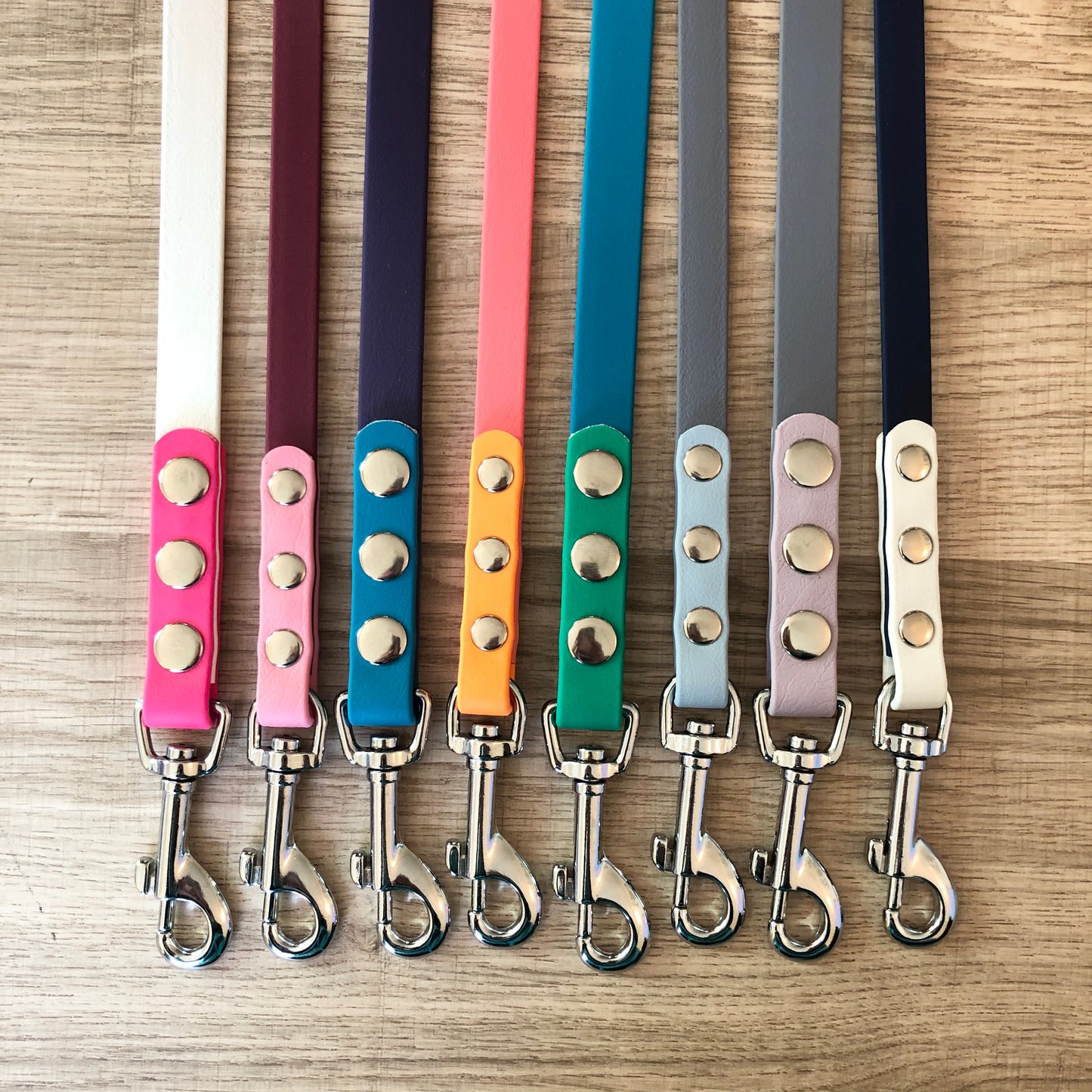 Two Tone Biothane Lead