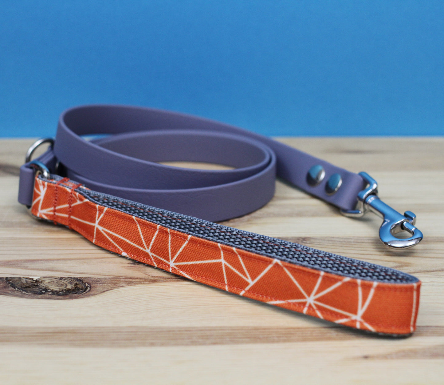 Autumn Bio-Canvas x BioThane Lead