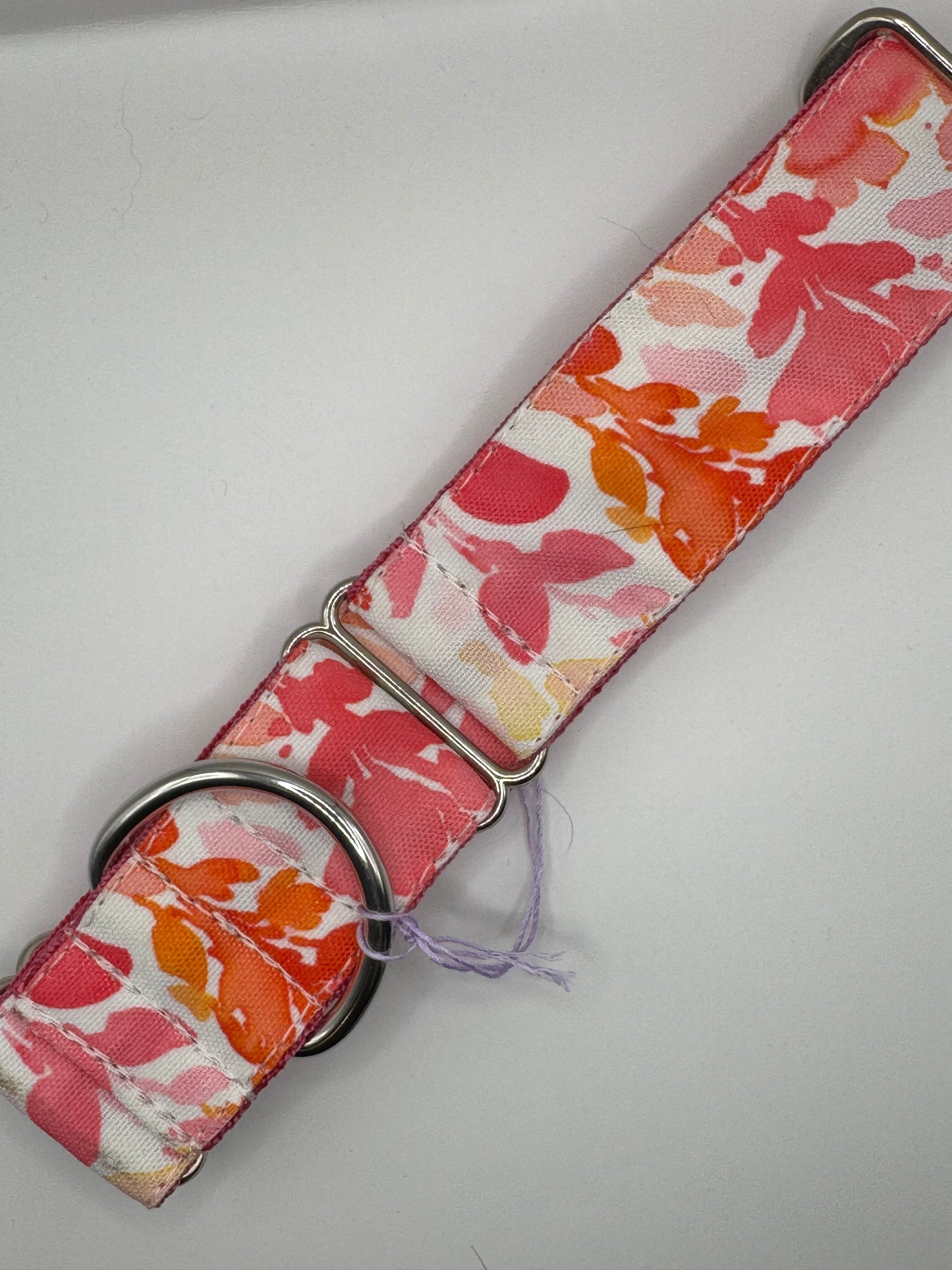 Outlet Martingale Collars - Large