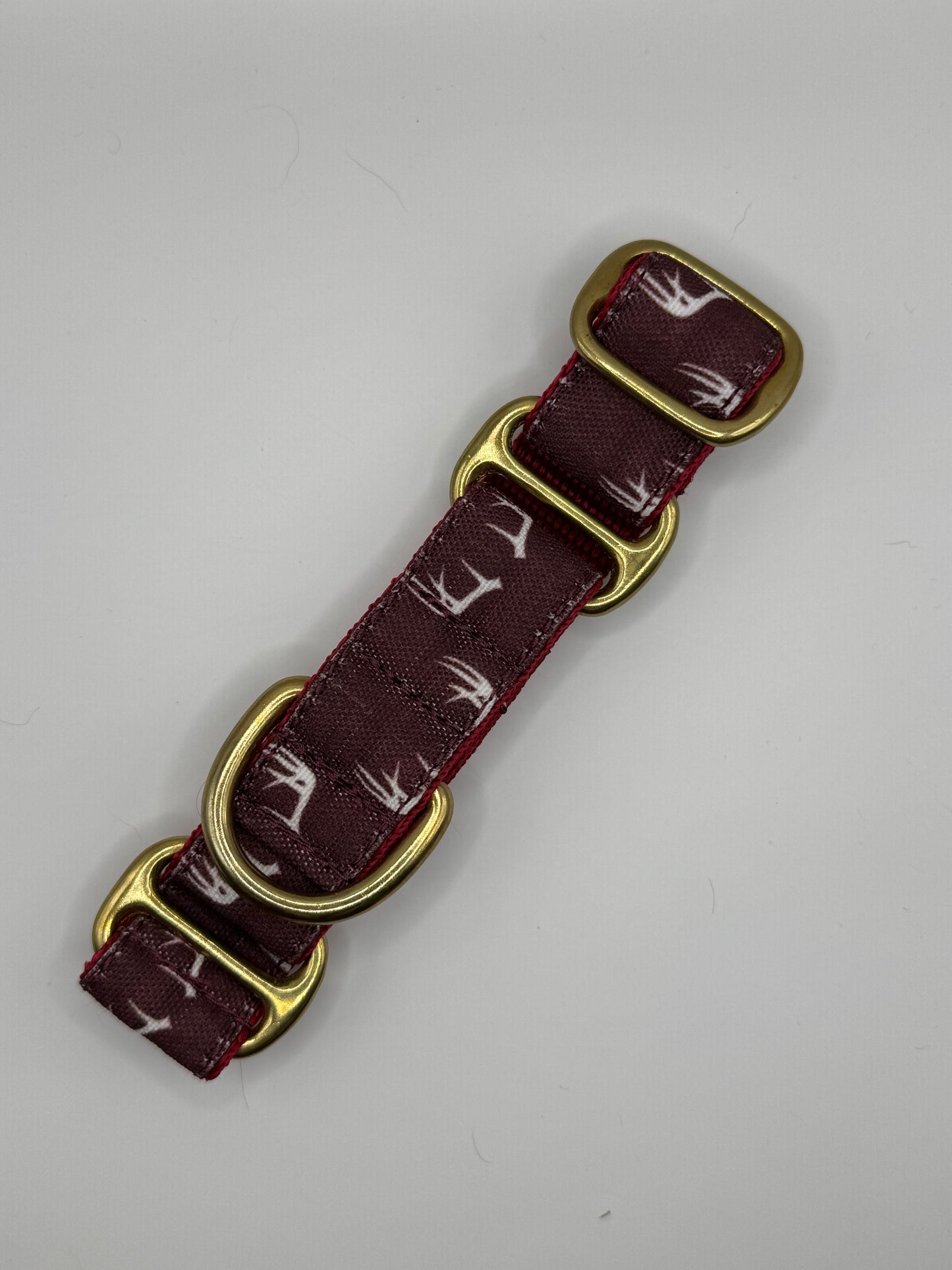 Outlet Martingale Collars - XS