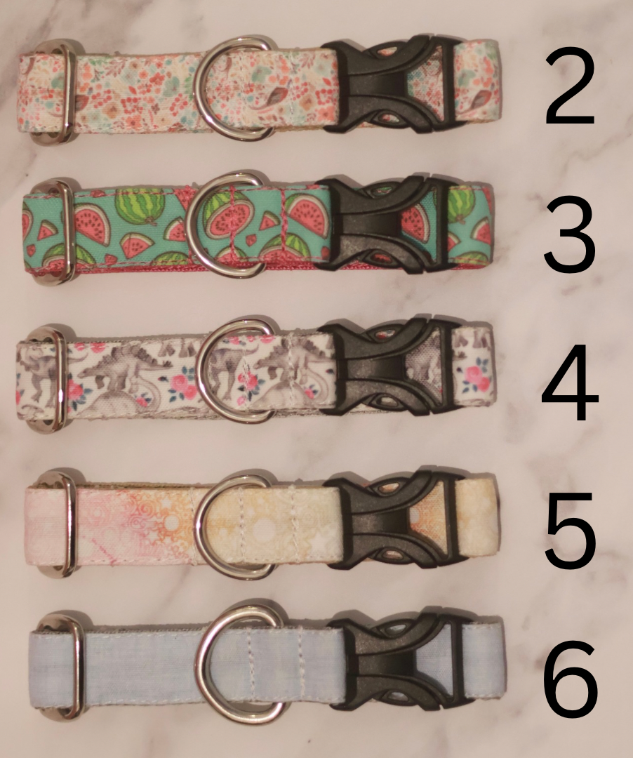 Bargain Collars Medium Buckles