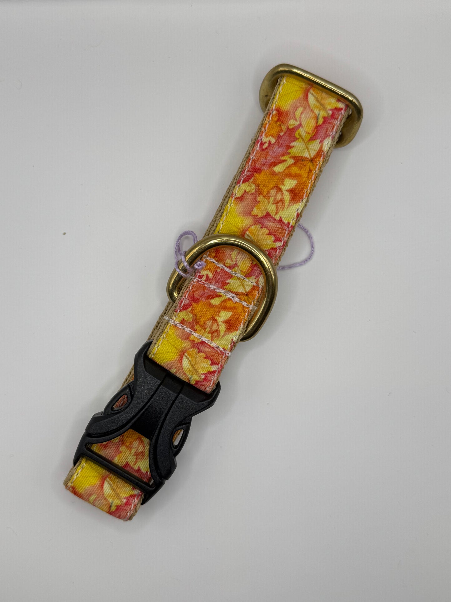 Outlet Collars - Medium