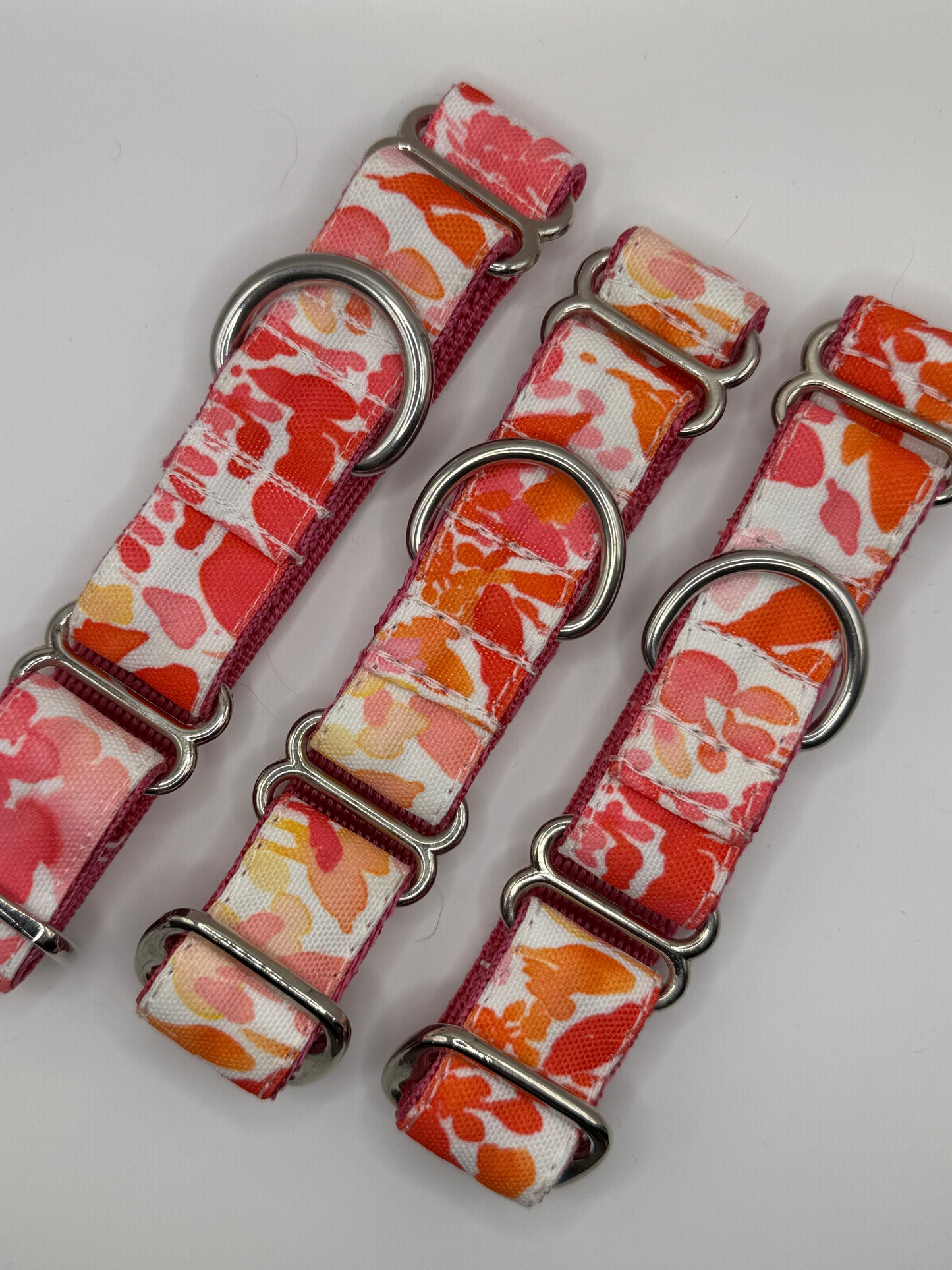 Outlet Martingale Collars - XS
