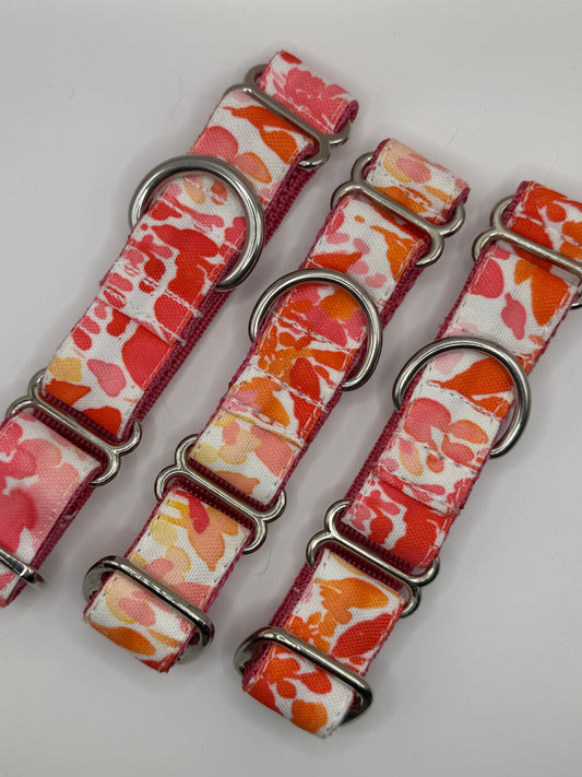 Outlet Martingale Collars - XS