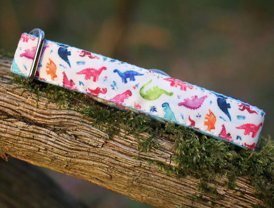 Rainbow Dino Bio-Canvas Collar - Limited Drop