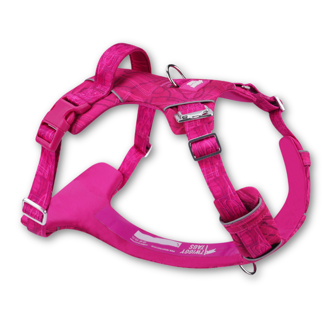 Twiggy Tags Adventure Harness
