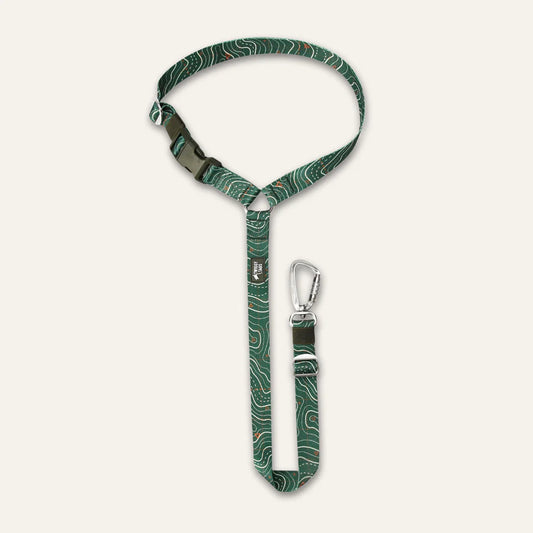 Twiggy Tags - Headrest Seat Belt