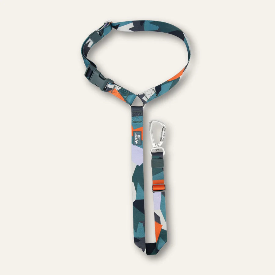 Twiggy Tags - Headrest Seat Belt