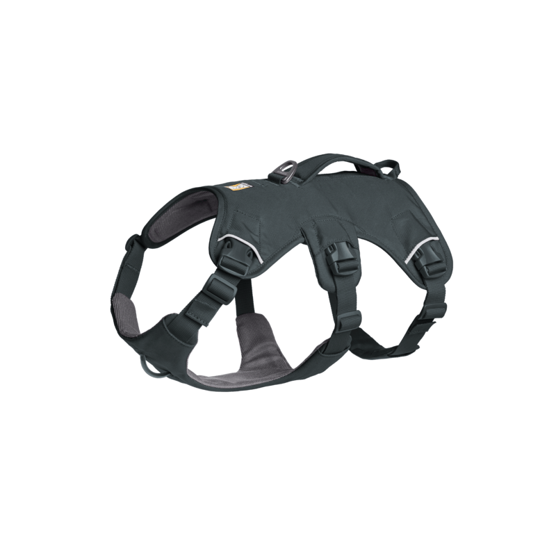 Web Master™ Dog Harness with Handle