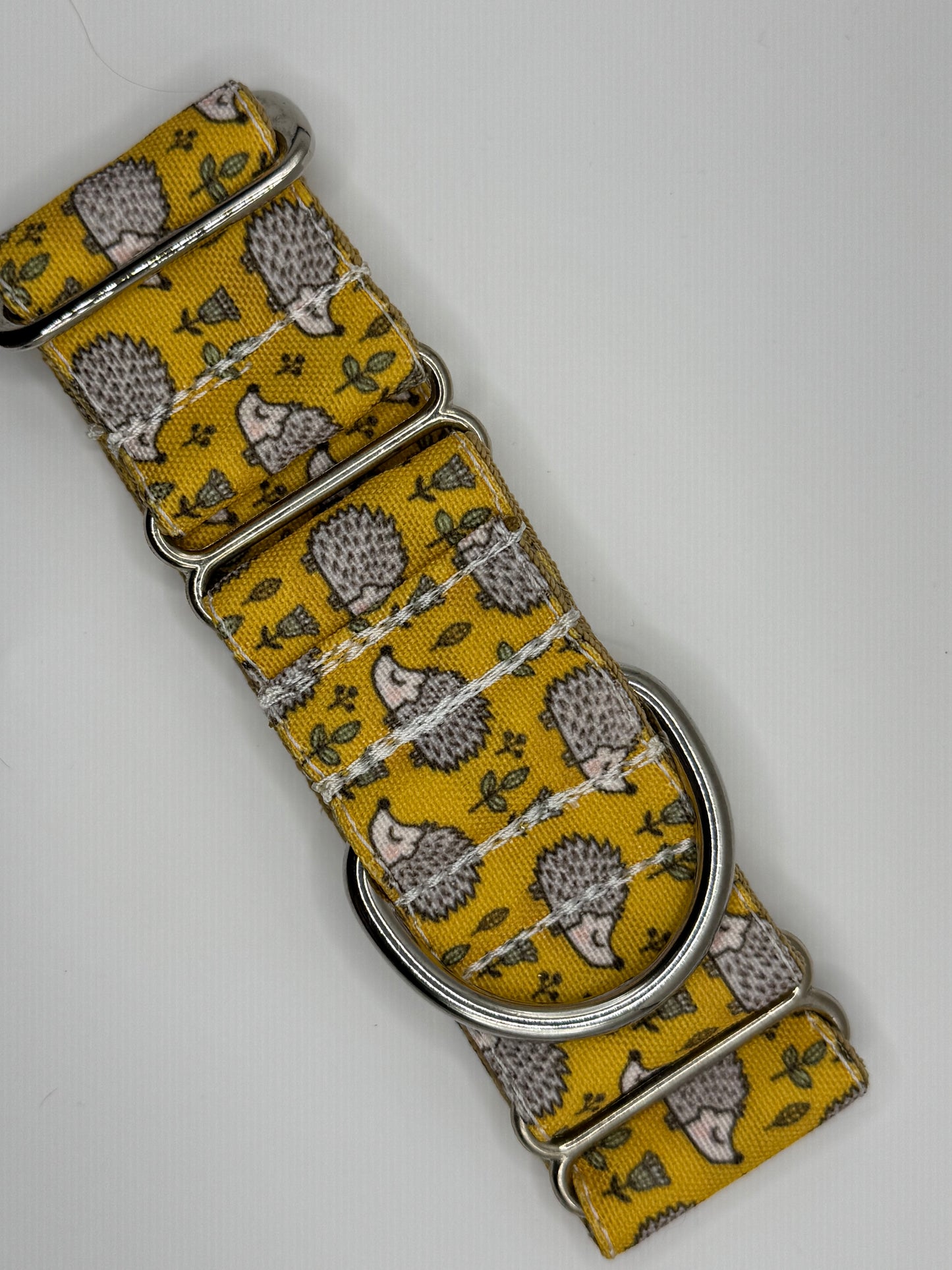 Core Collection - Small Bio-Canvas Collars