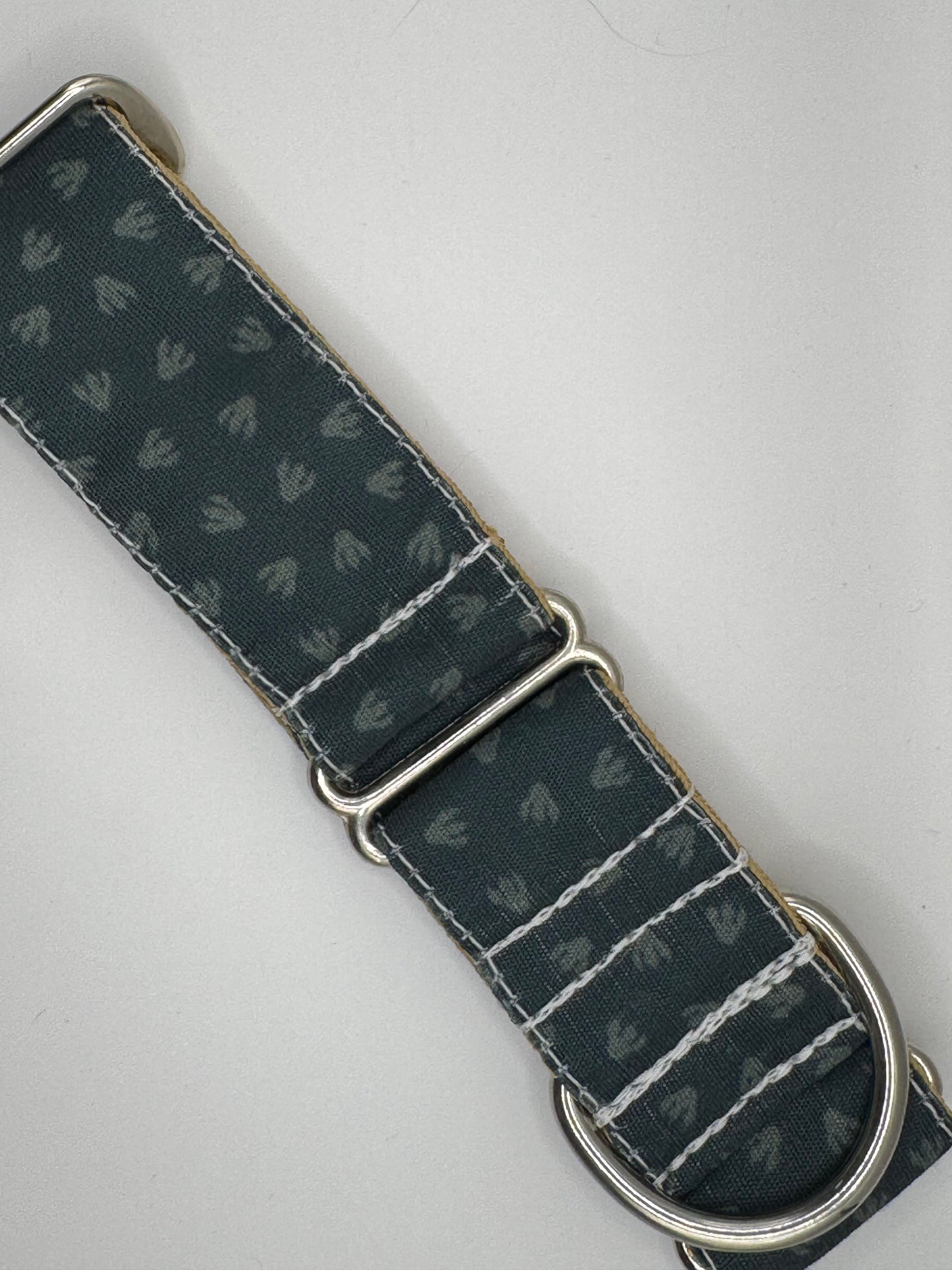 Core Collection - Medium Bio-Canvas Collars