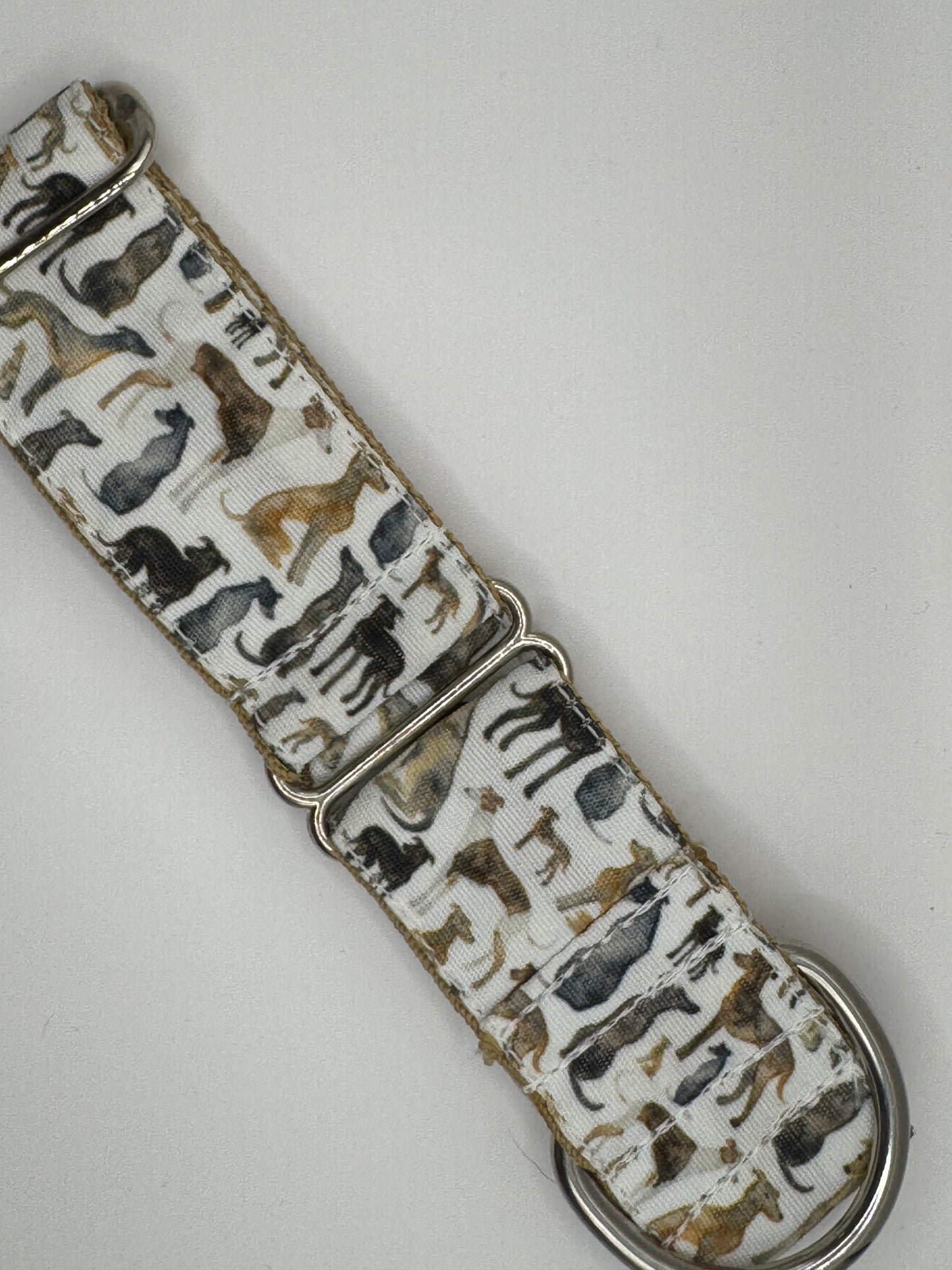 Core Collection - Medium Bio-Canvas Collars