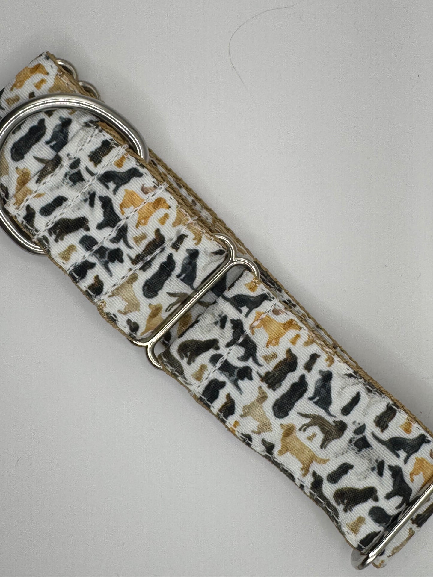 Core Collection - Medium Bio-Canvas Collars