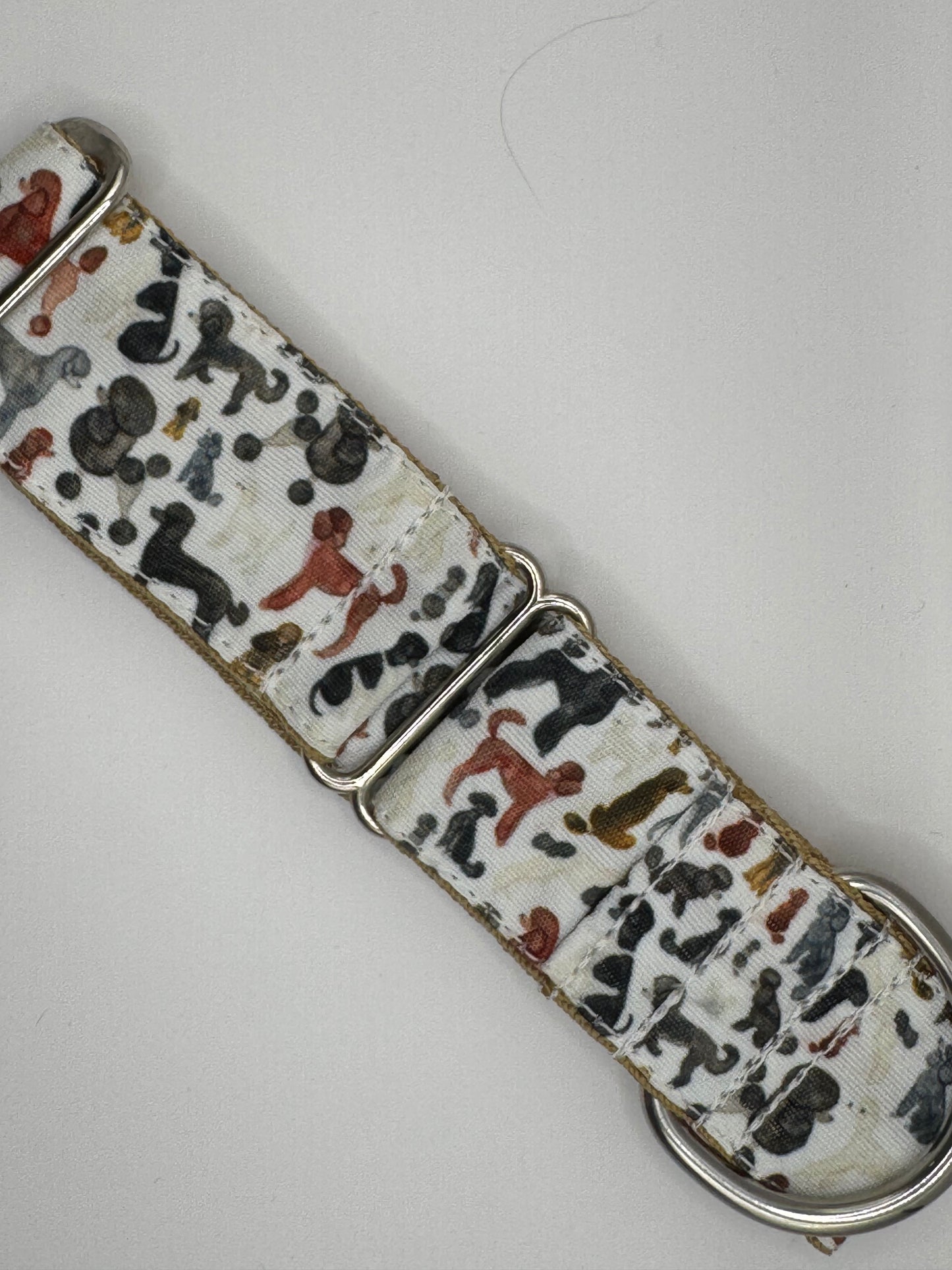 Core Collection - Medium Bio-Canvas Collars