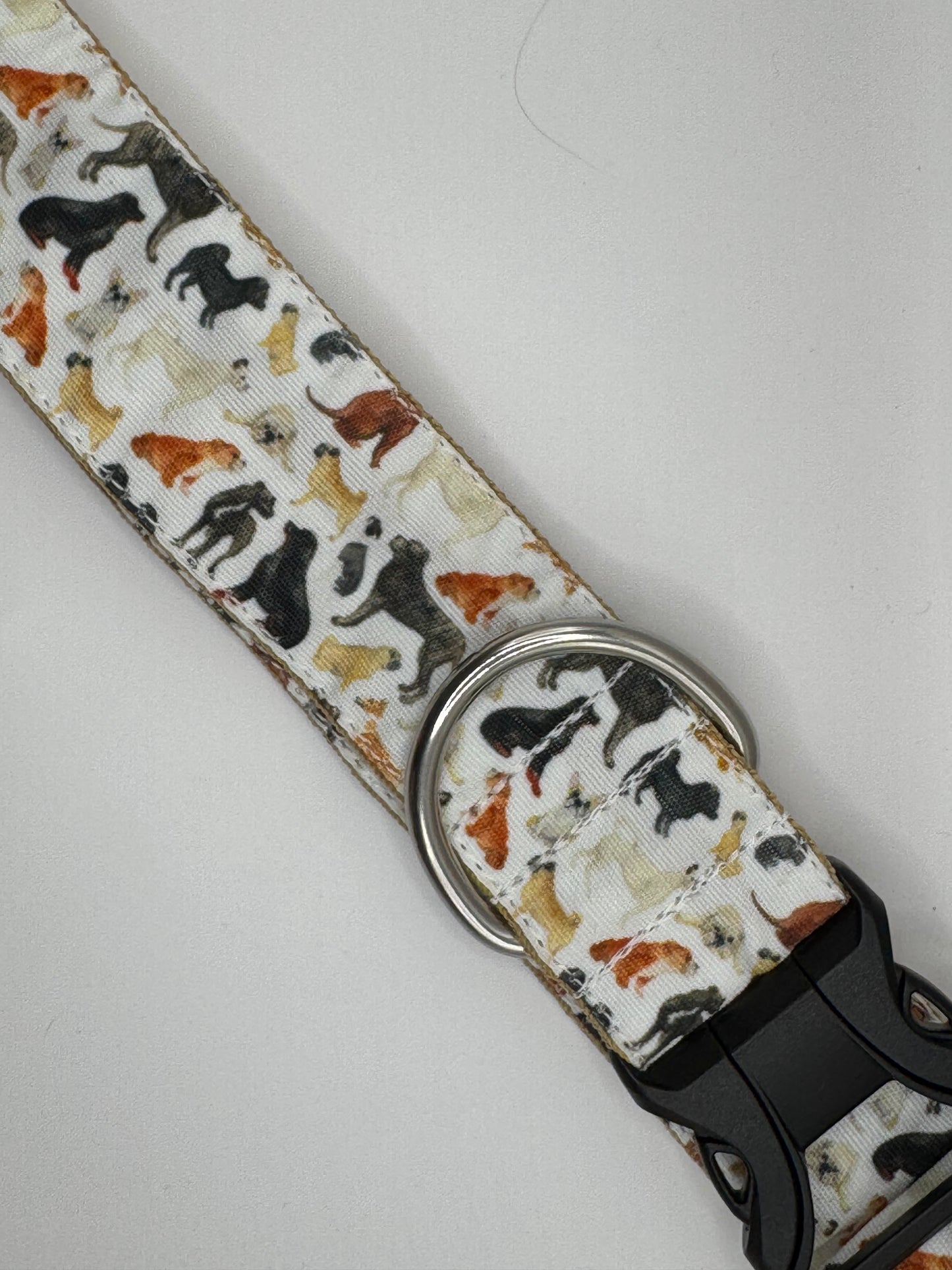 Core Collection - Large Bio-Canvas Collars