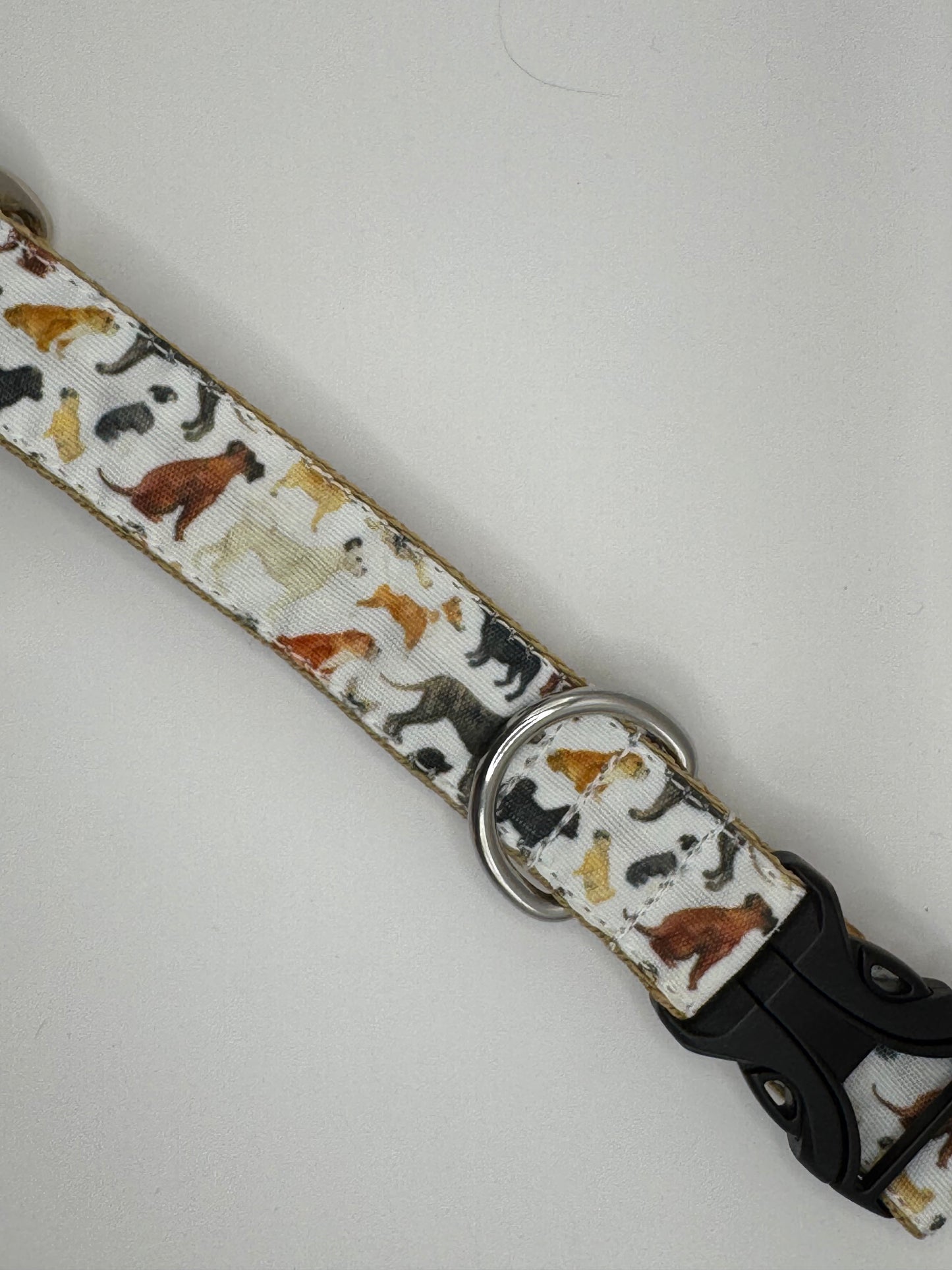 Core Collection - Large Bio-Canvas Collars