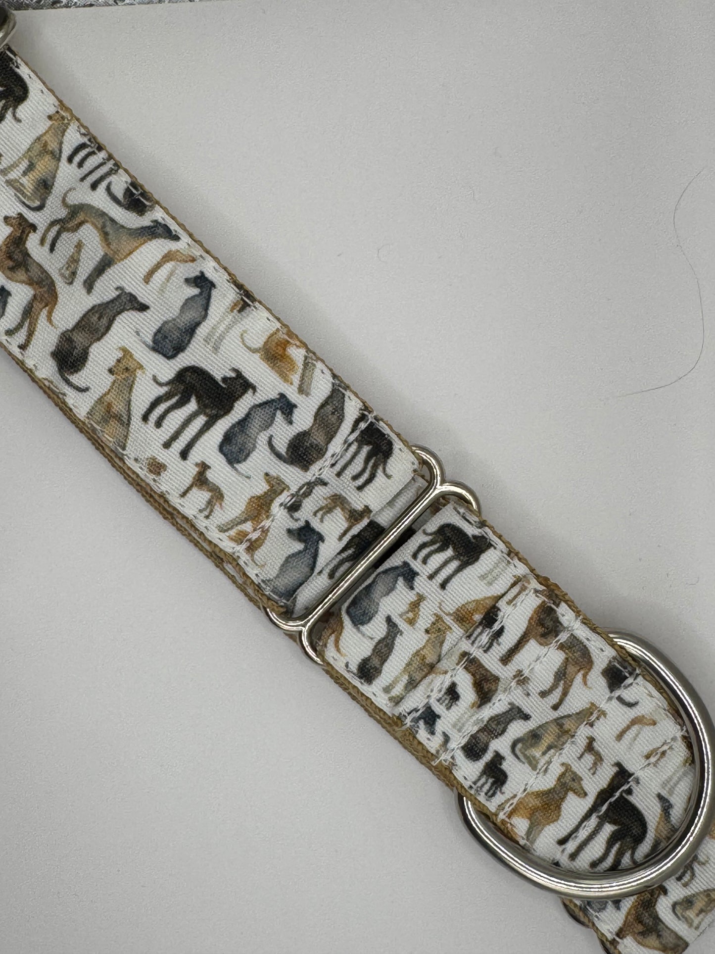 Core Collection - Large Bio-Canvas Collars