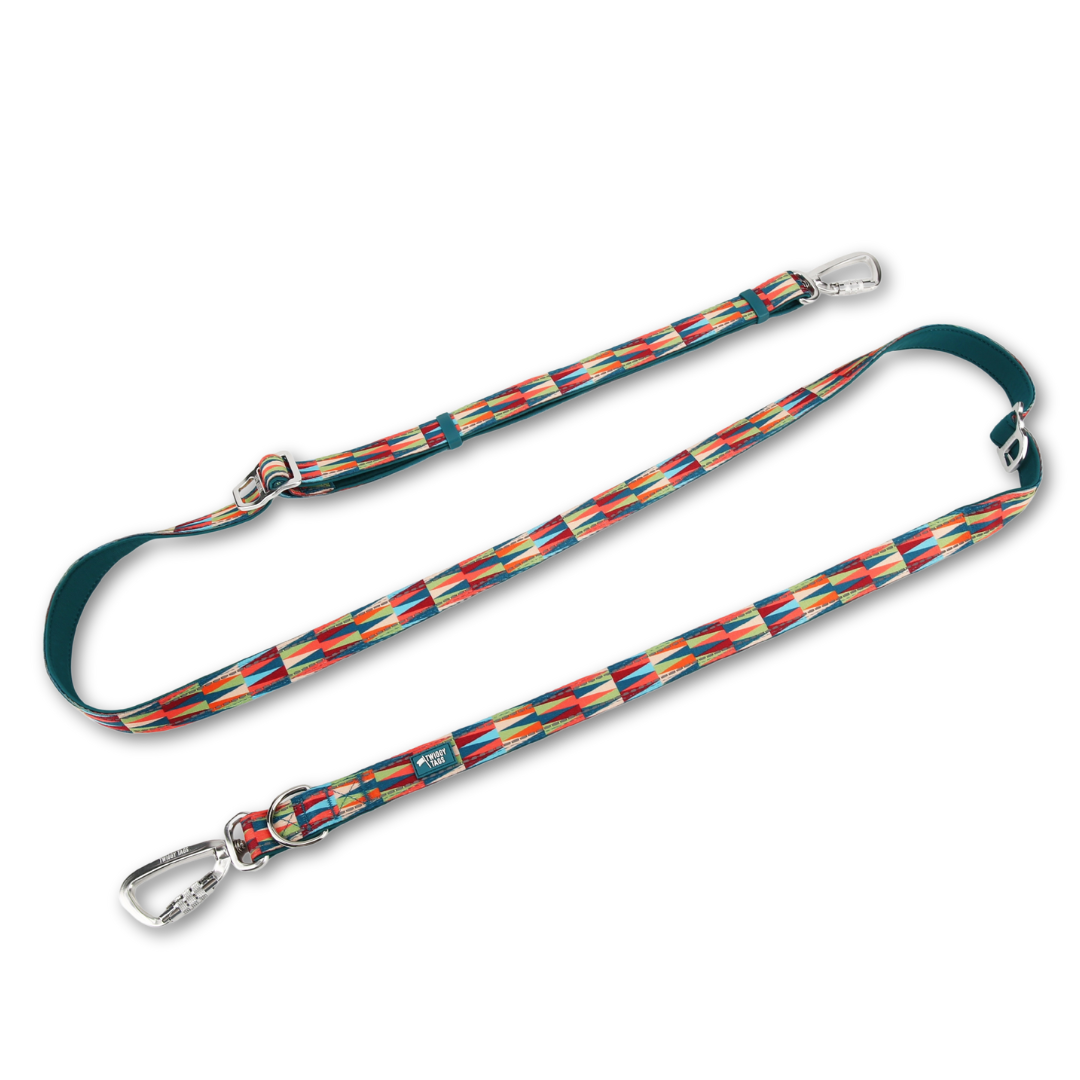 Twiggy Tags Multi-Way Lead