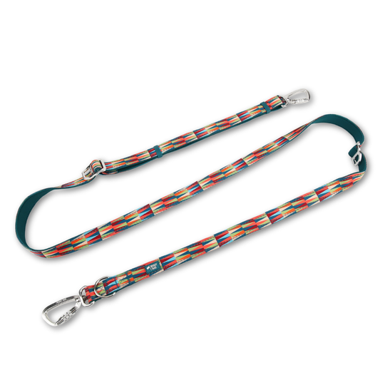 Twiggy Tags Multi-Way Lead