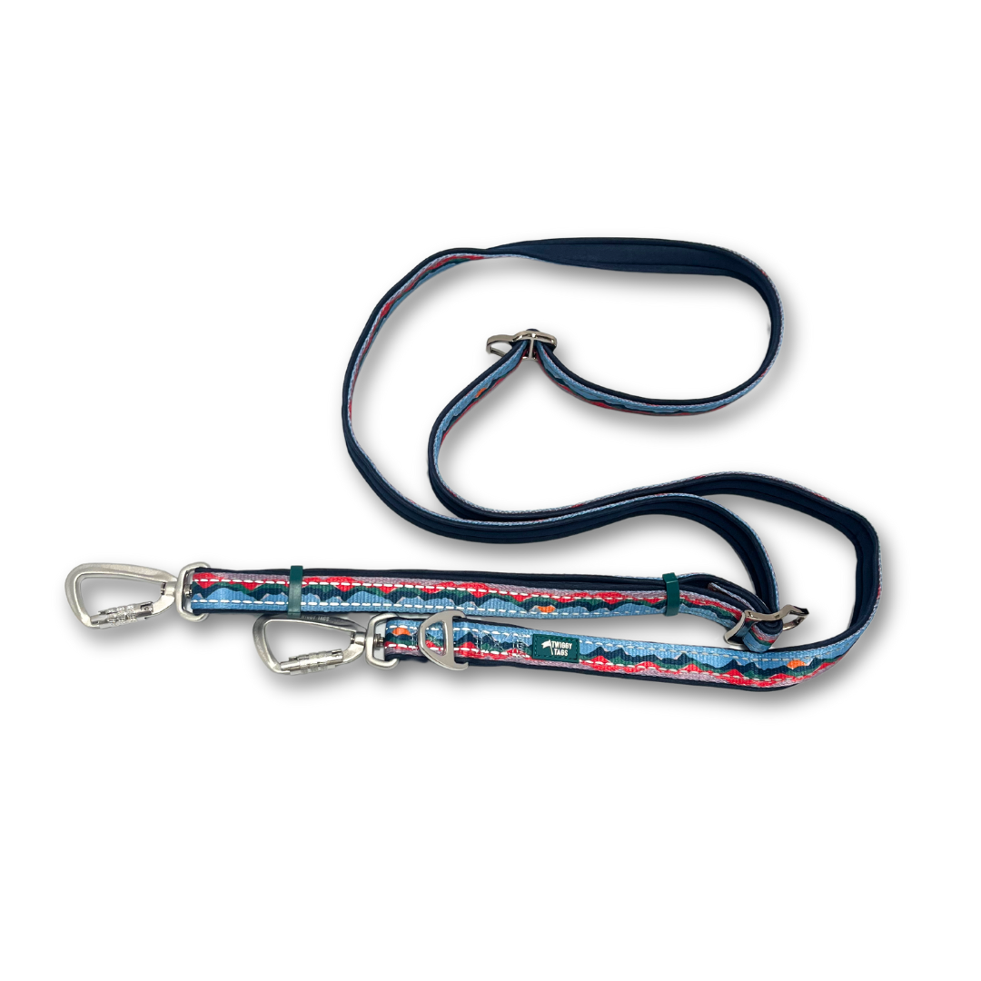 Twiggy Tags Multi-Way Lead