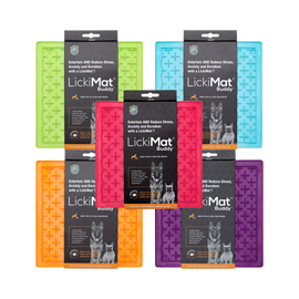 CLEARANCE Enrichment Toys