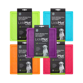 CLEARANCE Enrichment Toys