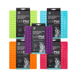 CLEARANCE Enrichment Toys